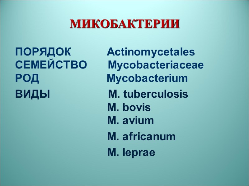 МИКОБАКТЕРИИ ПОРЯДОК            Actinomycetales